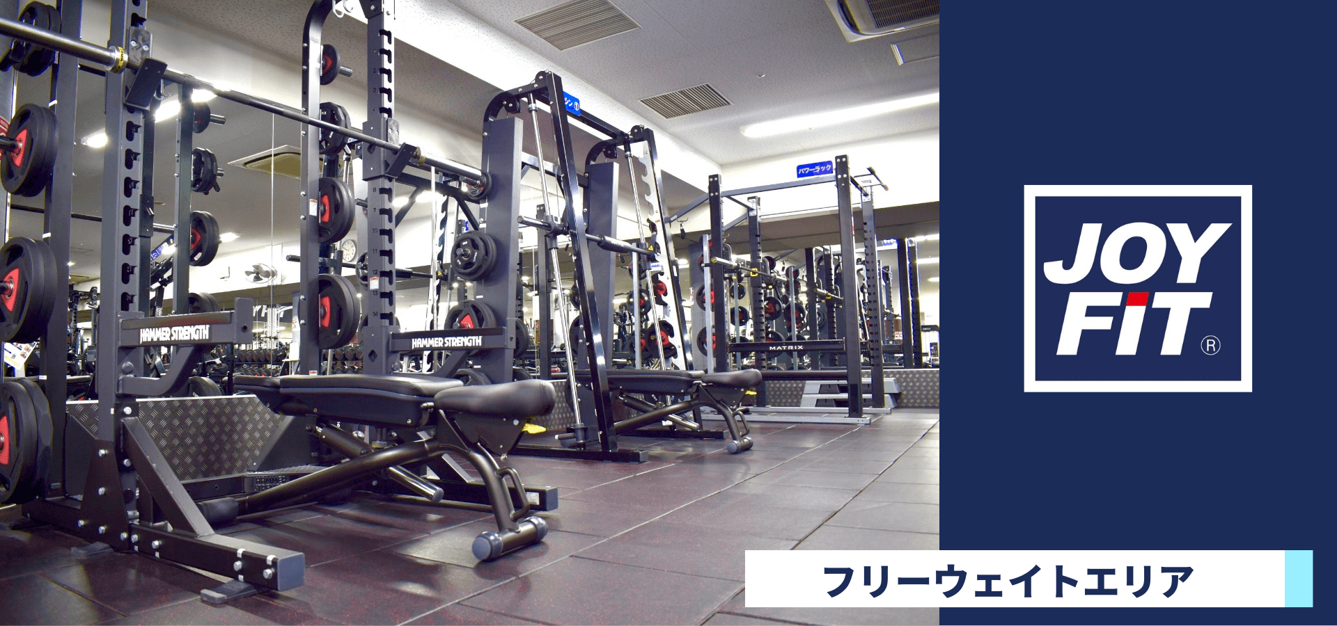 JOYFIT 阪急伊丹 店舗写真 2
