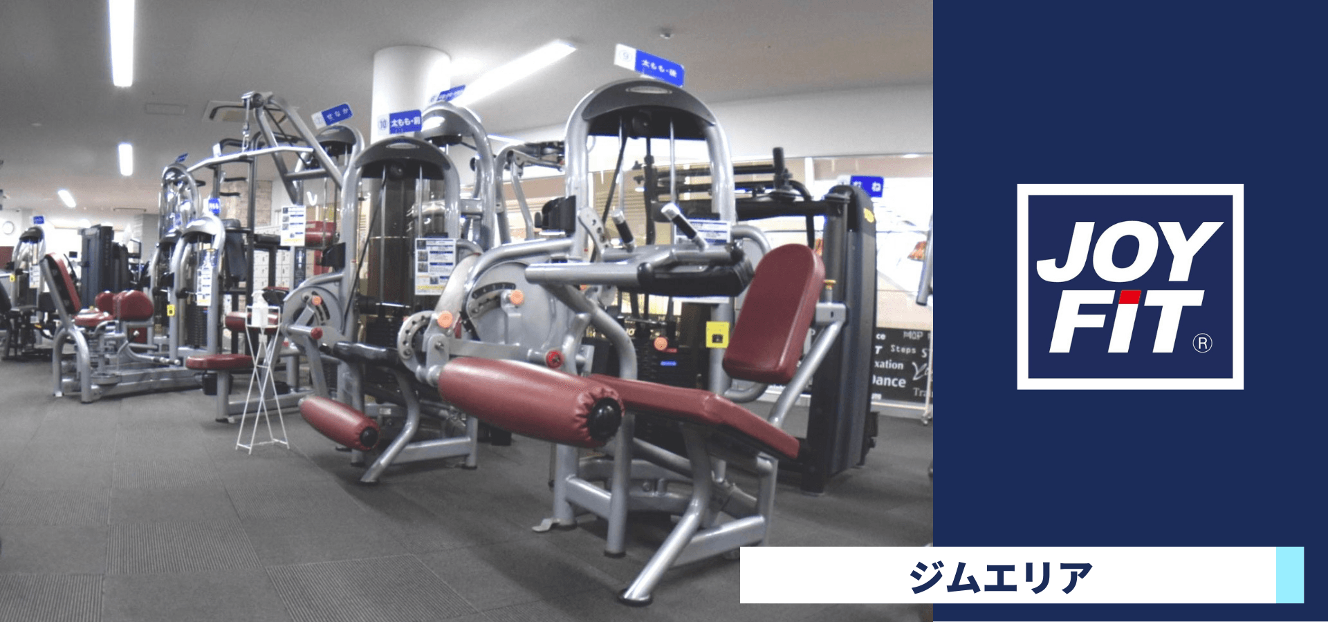 JOYFIT 阪急伊丹 店舗写真 3