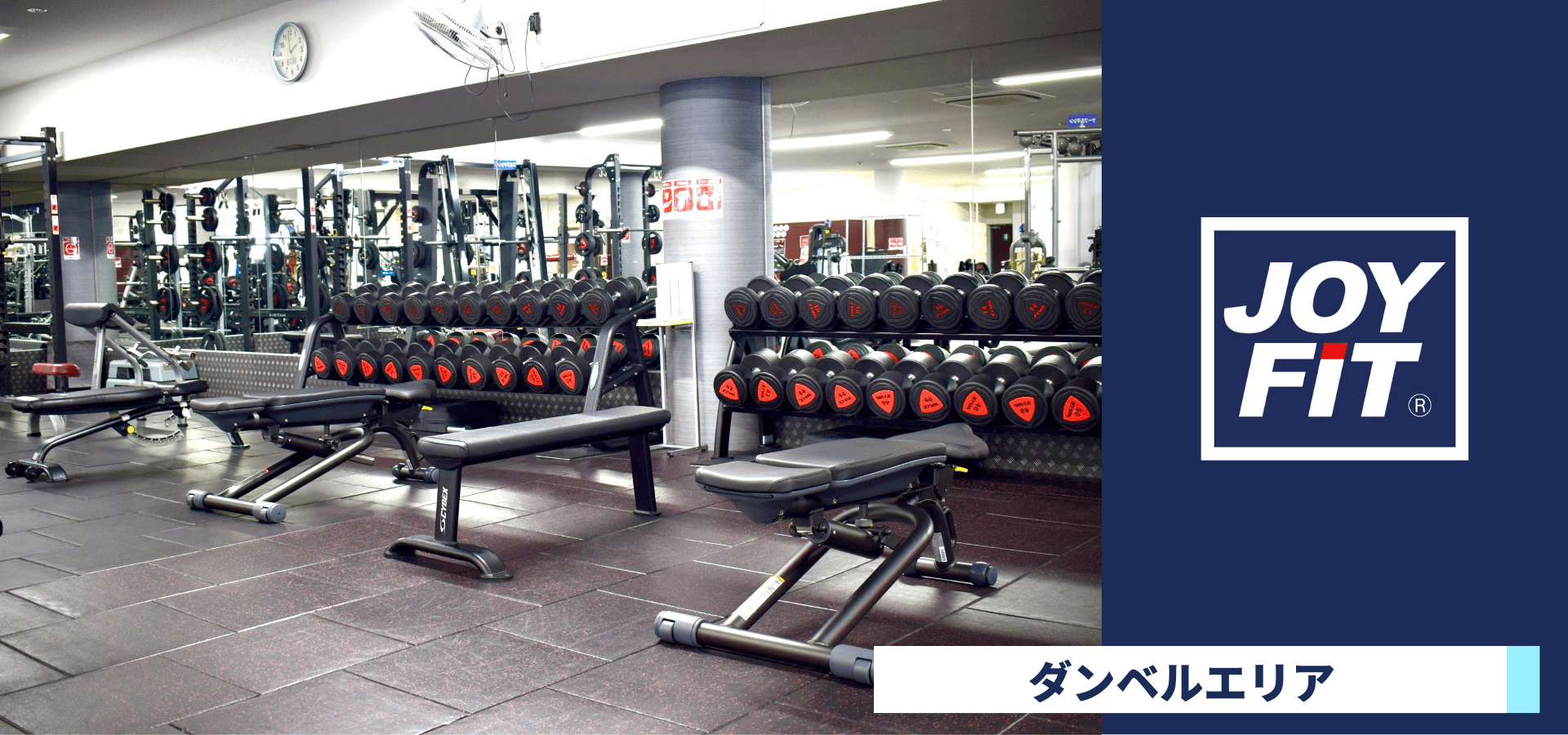 JOYFIT 阪急伊丹 店舗写真 4