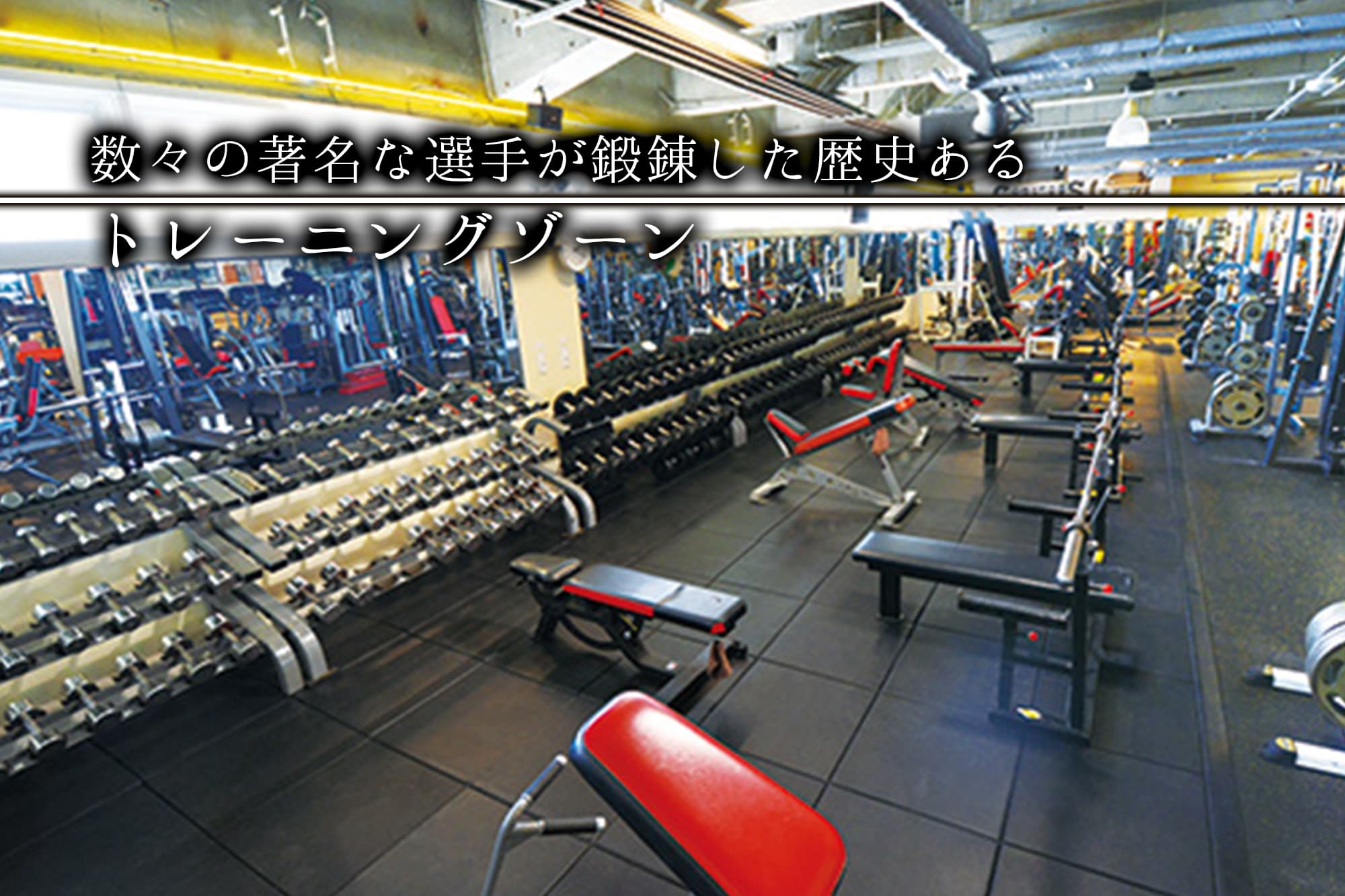 ゴールドジムサウス東京の施設写真