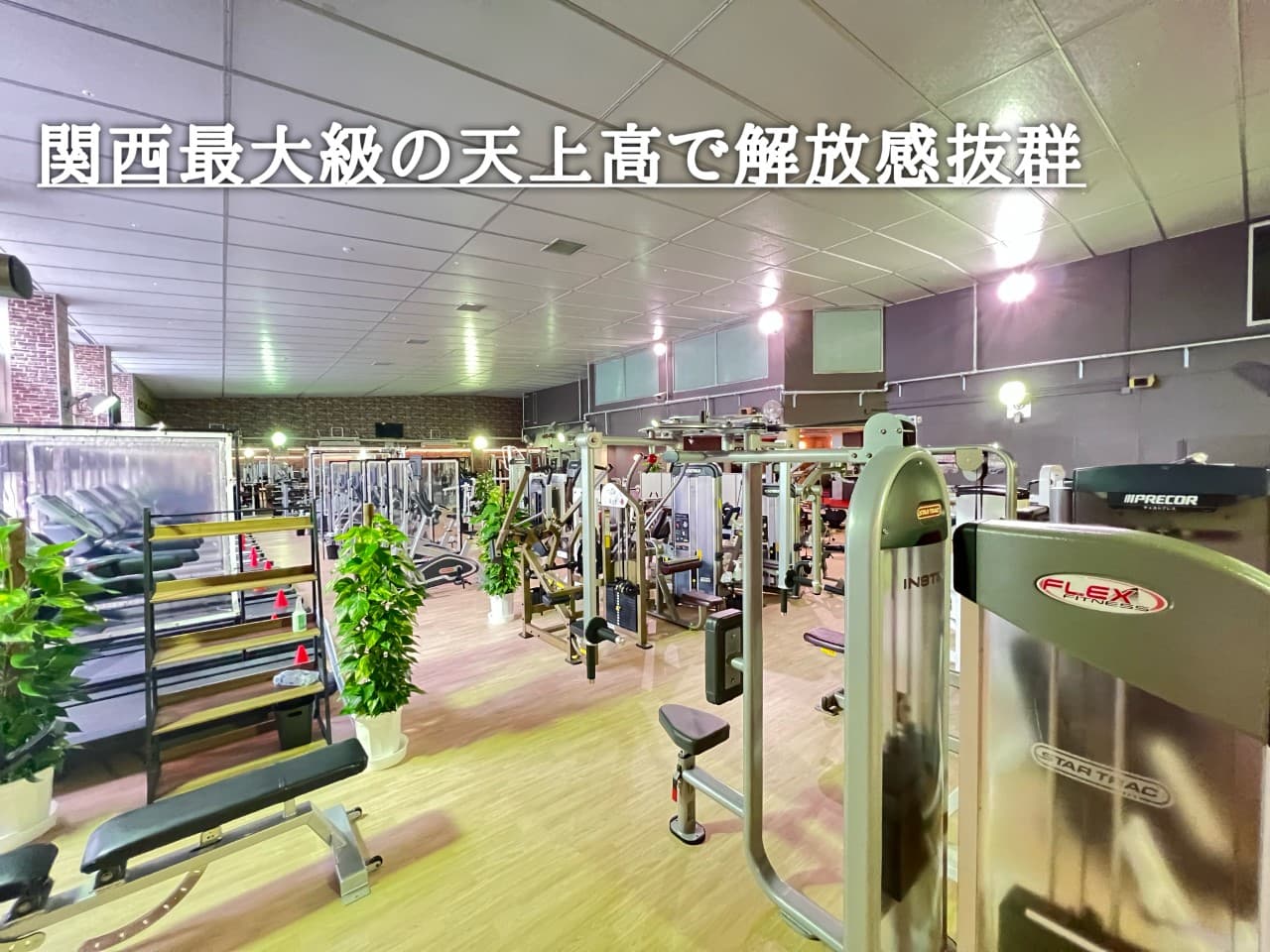 ゴールドジム草津滋賀