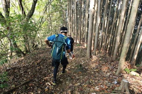 四季折々の自然を感じに御岳山へ！初級者向けトレイルランニングツアー（東京都）