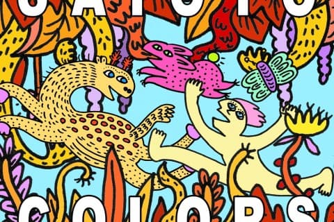 SAIOTO COLORS 2026（31km,52km,ハイキング28Km）