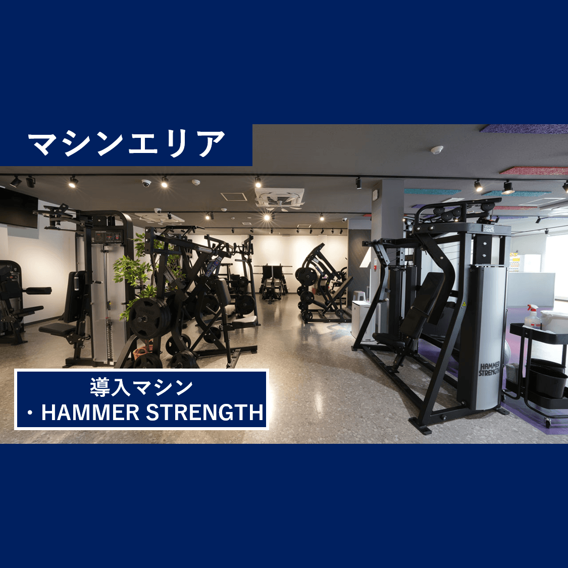 エニタイムフィットネス 相模原星が丘店の施設写真