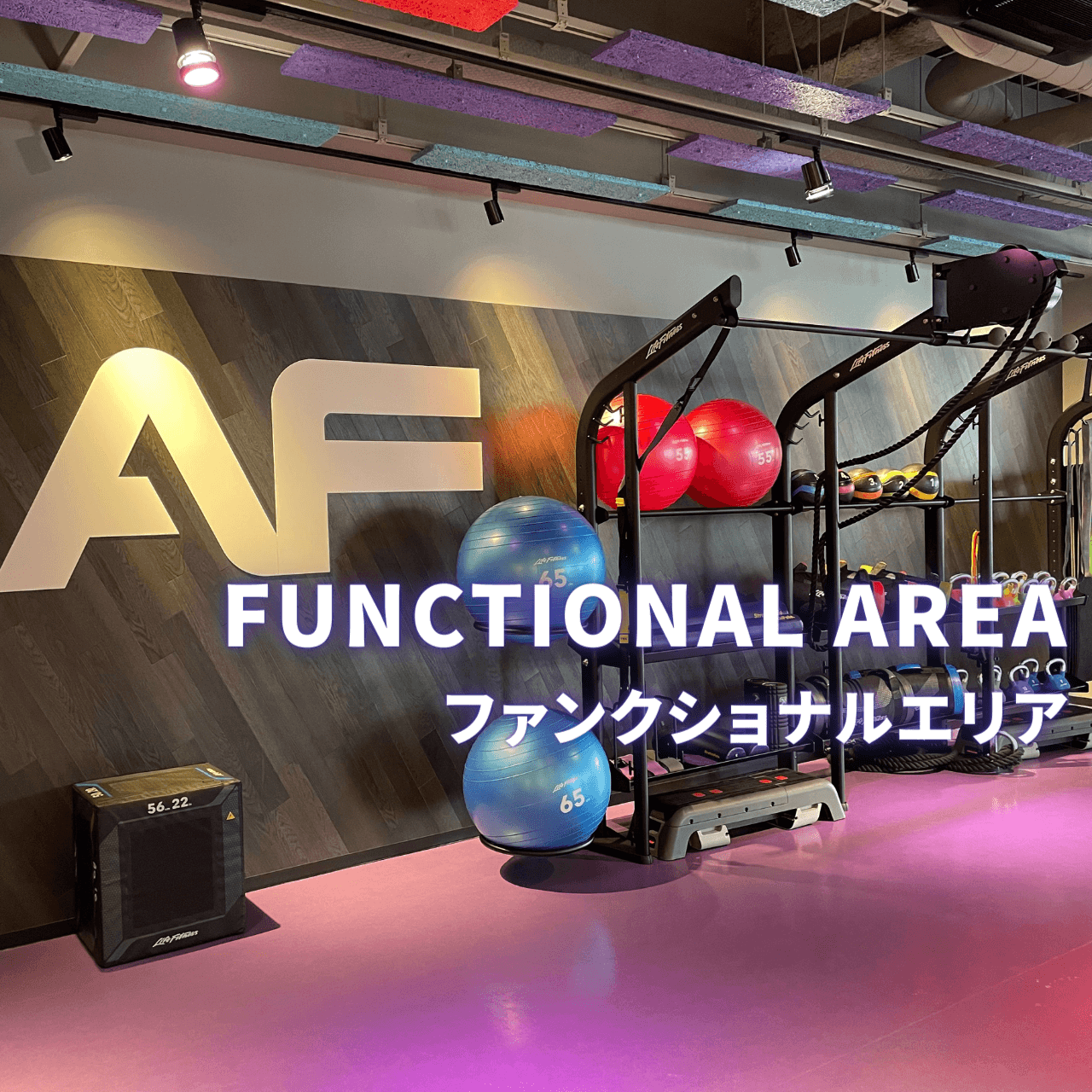 帯広店 店舗写真 4