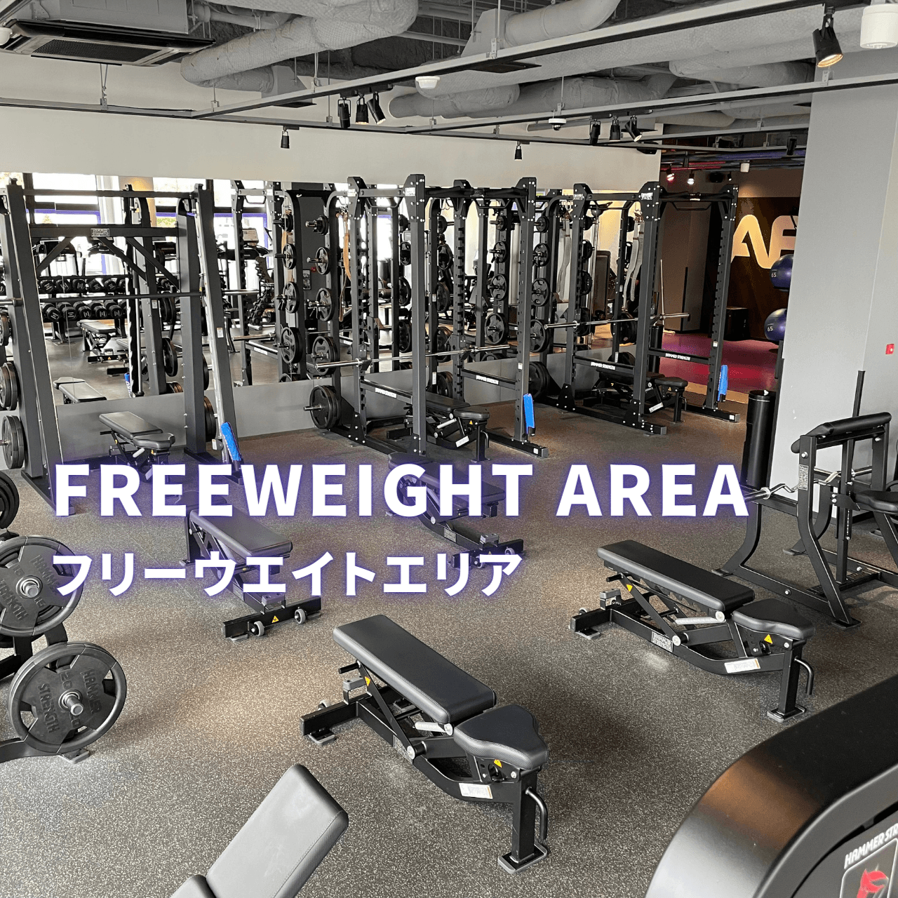 帯広店 店舗写真 3