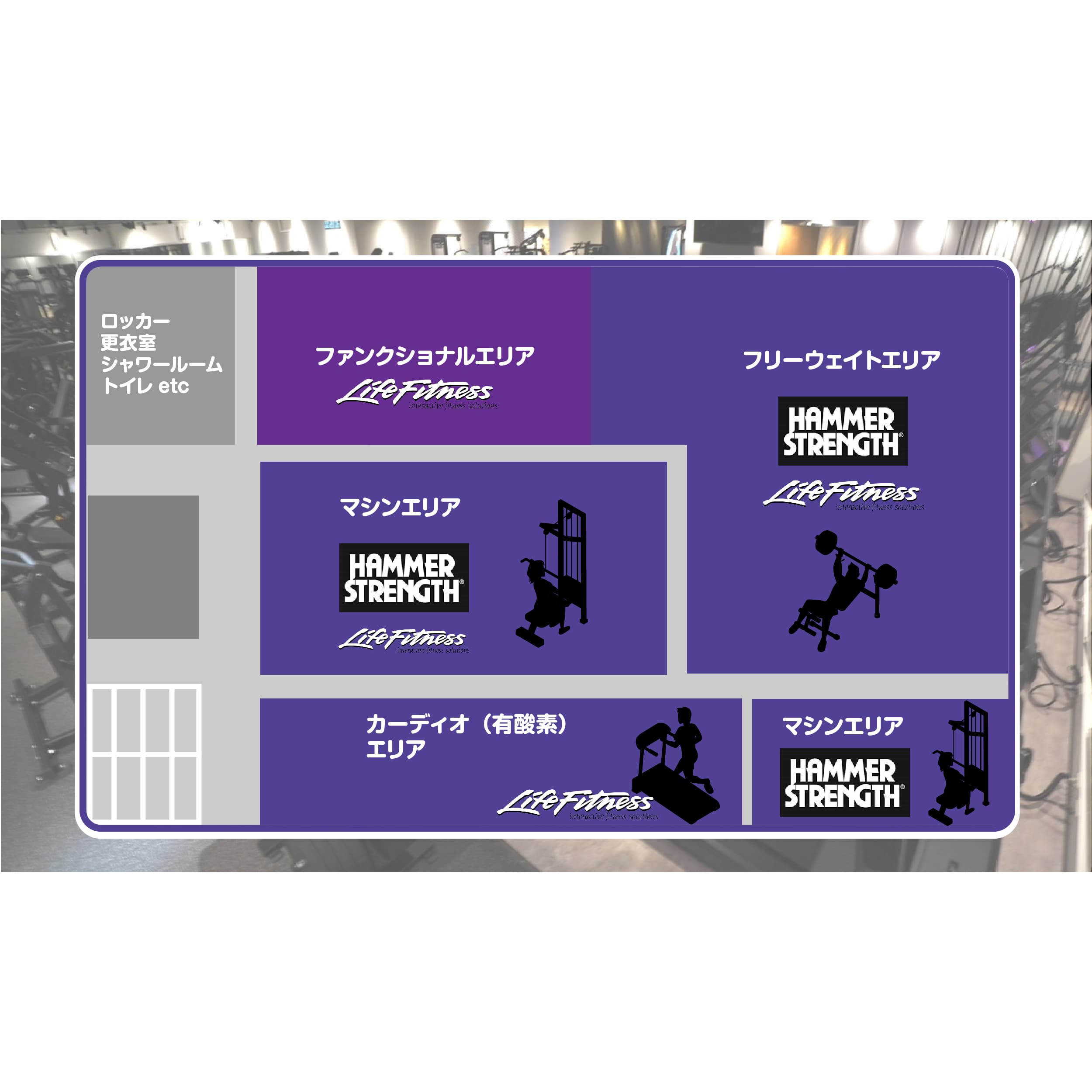 Anytime Fitness 薩摩川内店 gym facility
