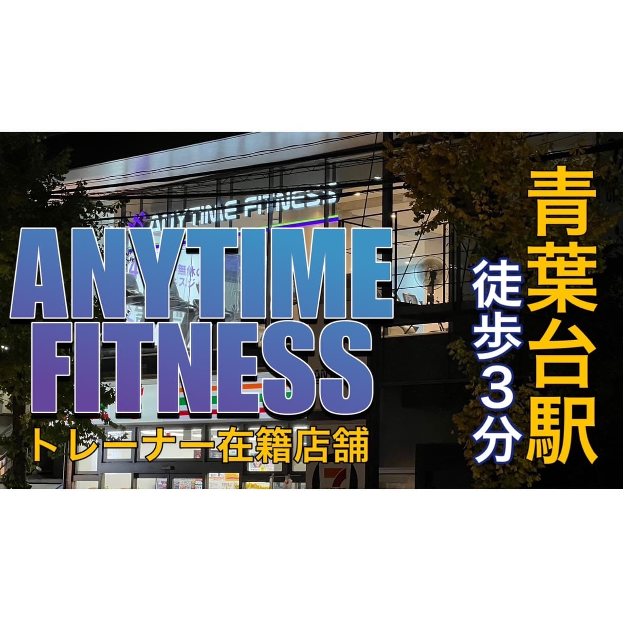 青葉台店 店舗写真 2