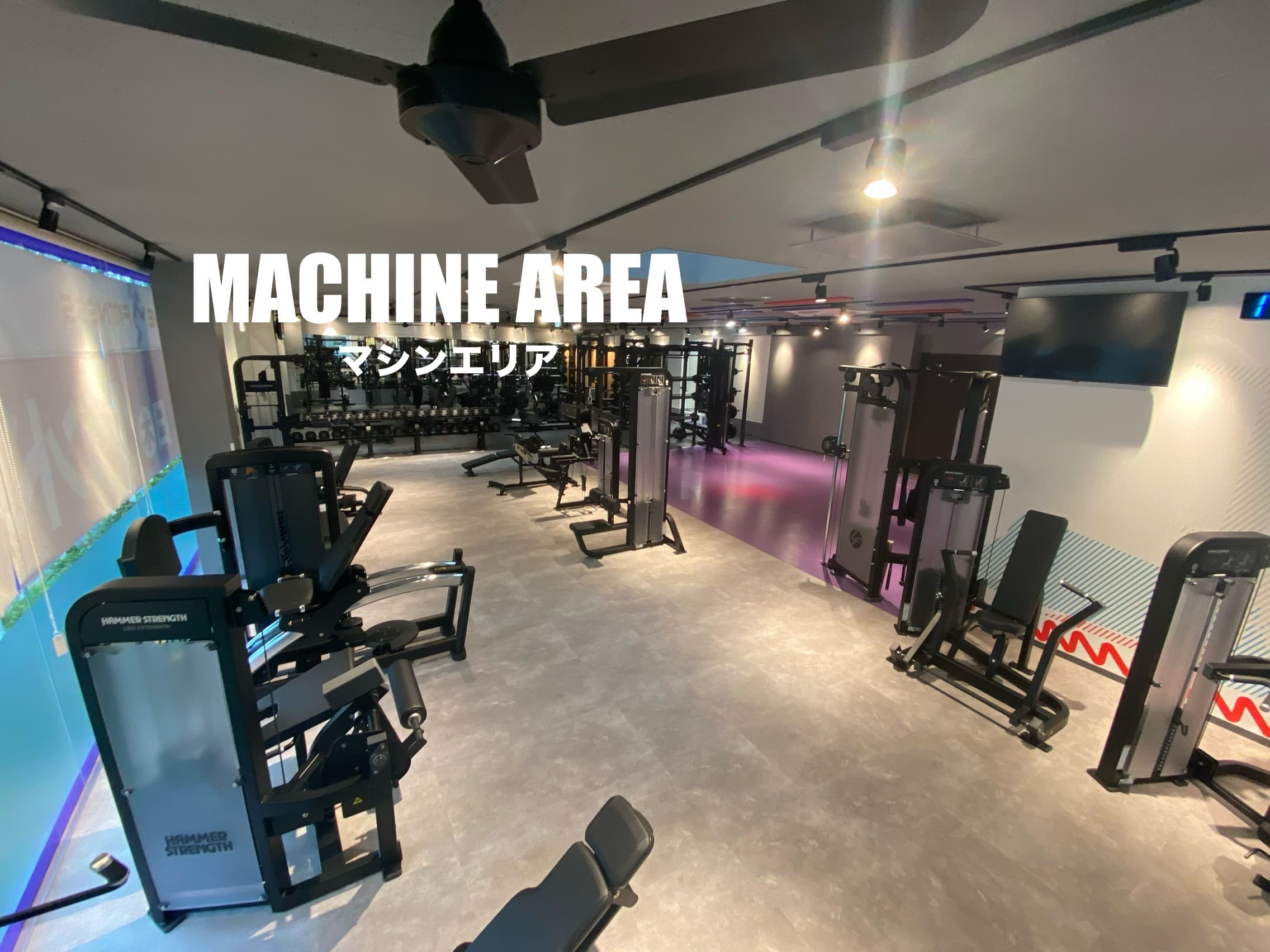 エニタイムフィットネス 新町田忠生店の施設写真