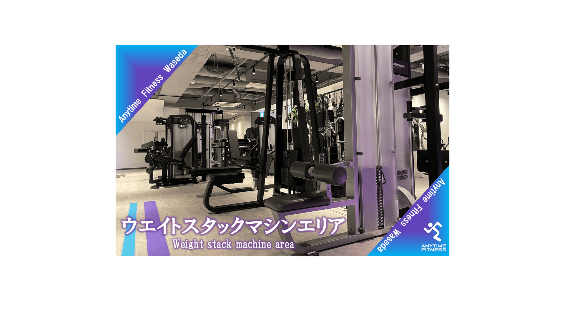 早稲田店 店舗写真 4
