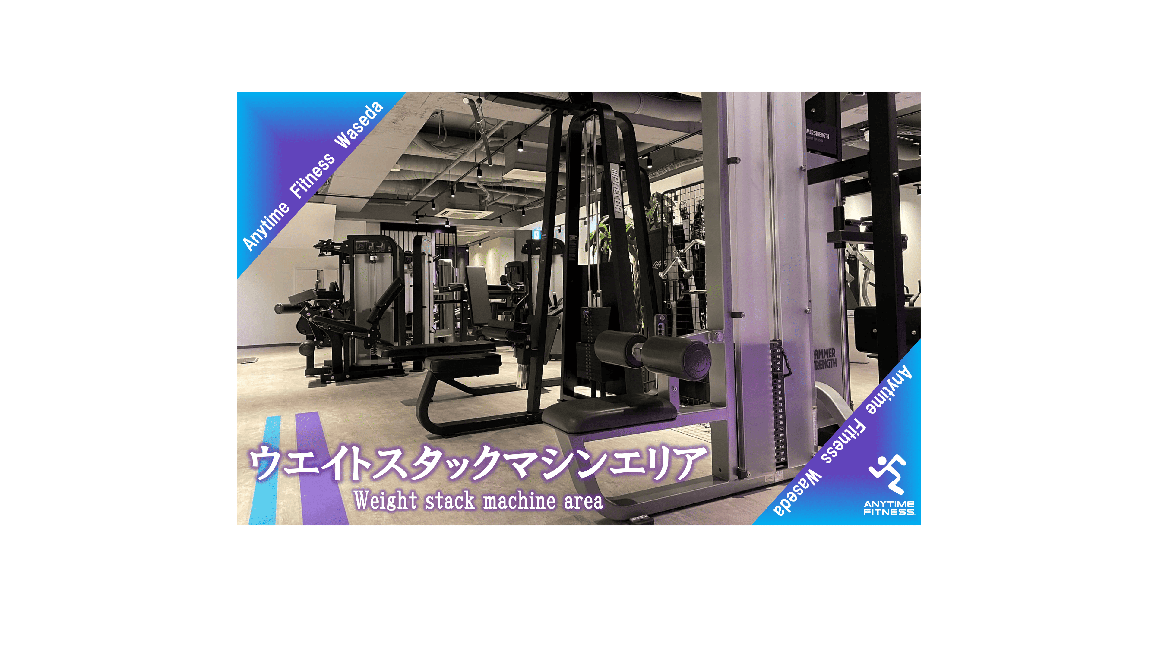早稲田店 店舗写真 4