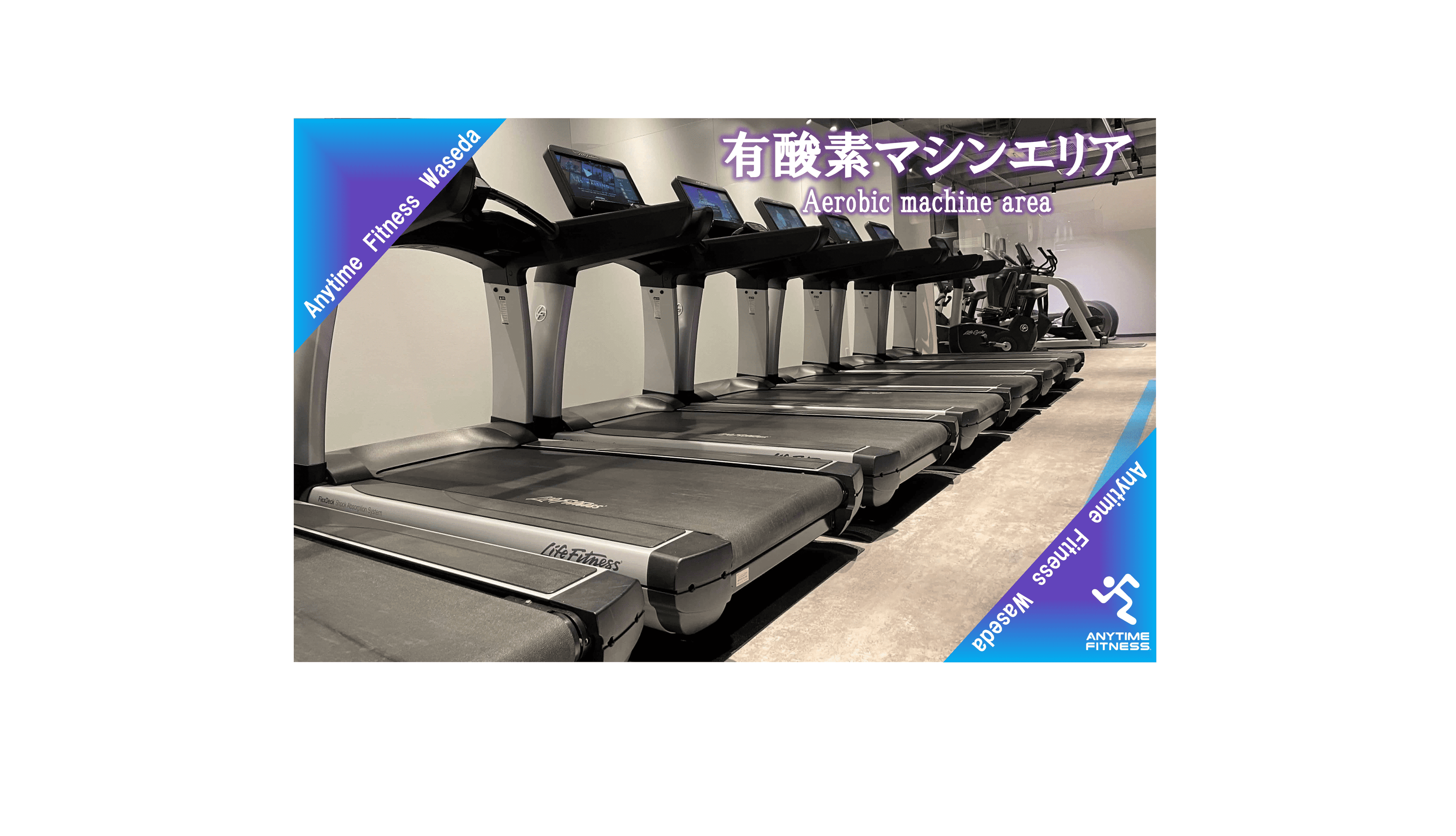 早稲田店 店舗写真 2