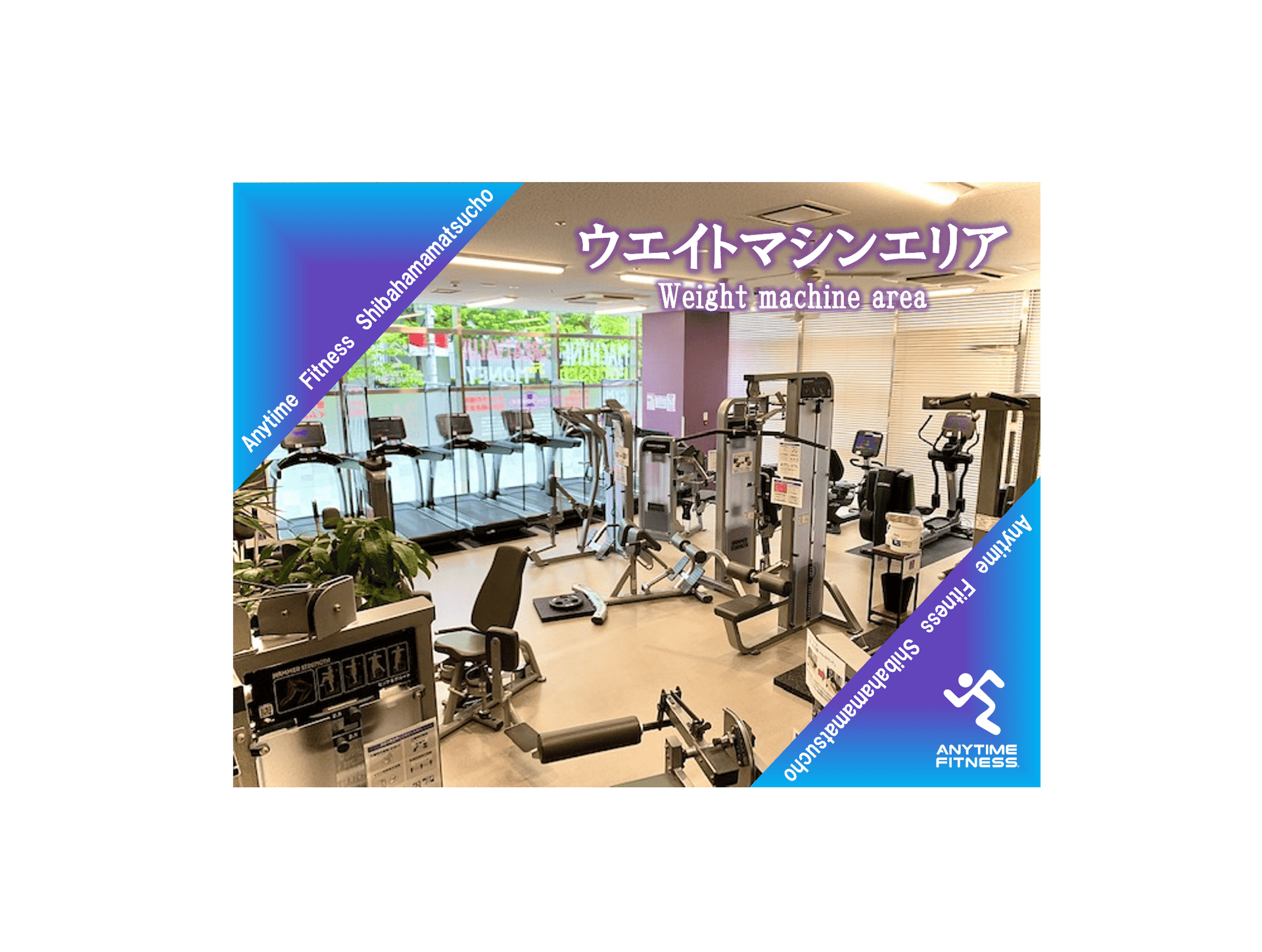 Anytime Fitness 芝浜松町店
