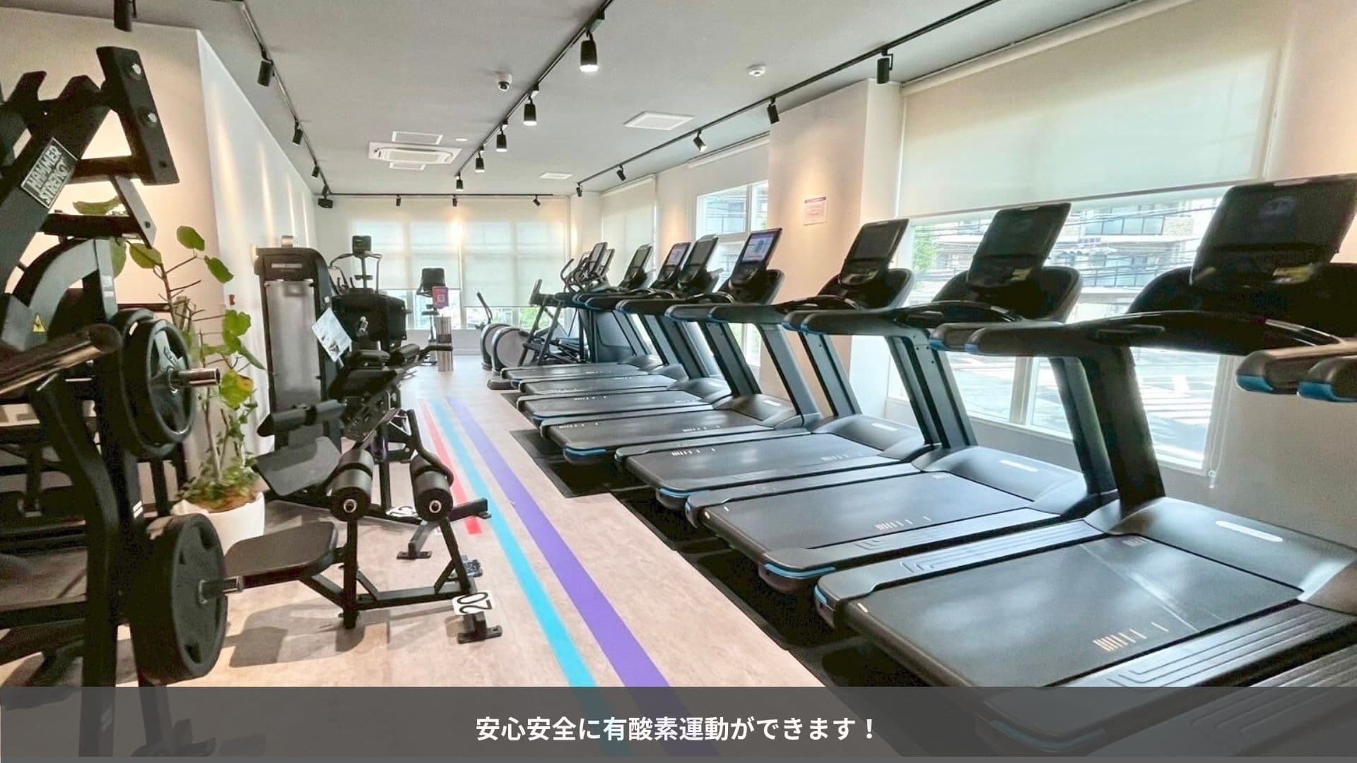 豊中少路店 店舗写真 2