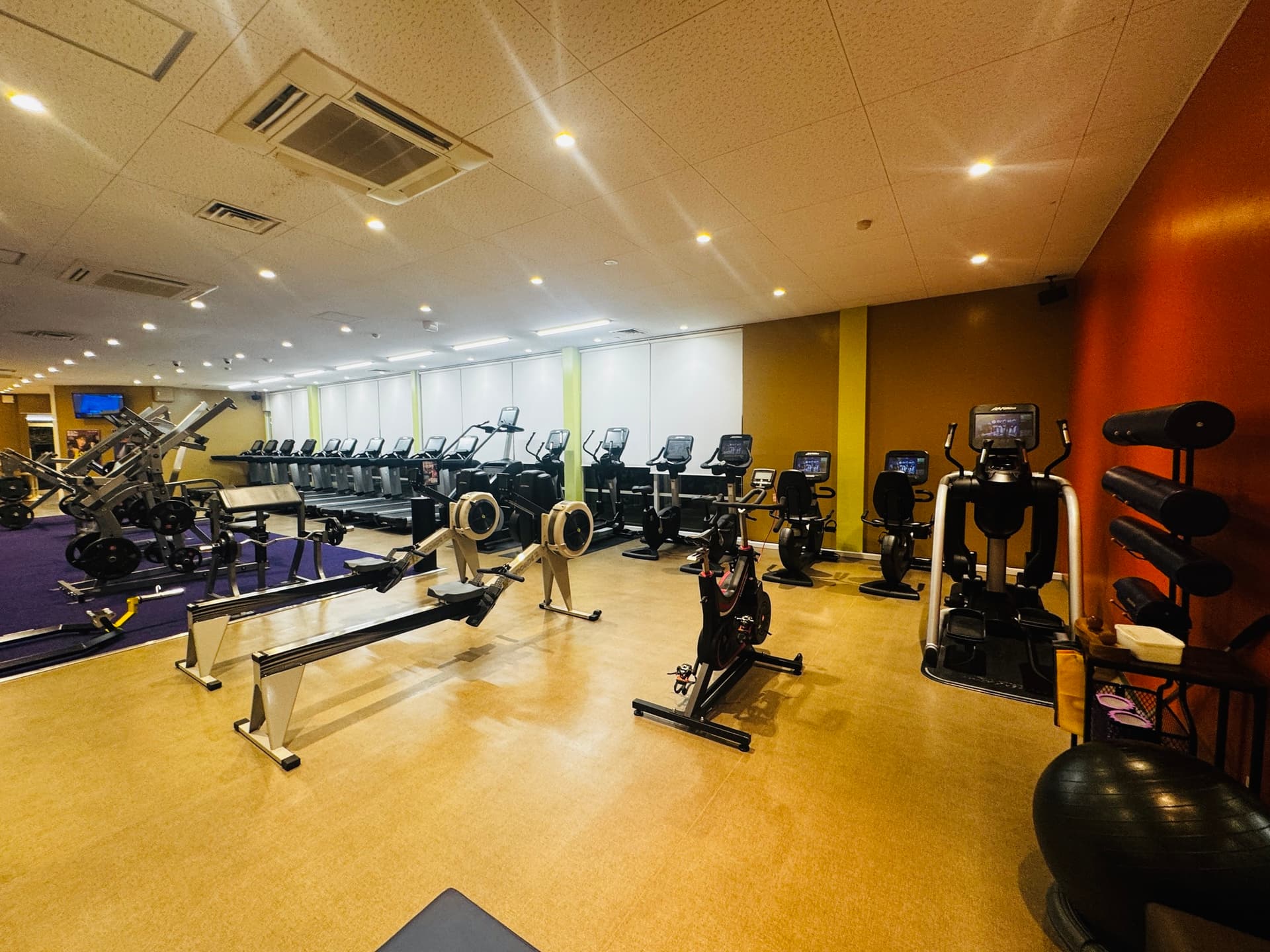 新安城店 店舗写真 2