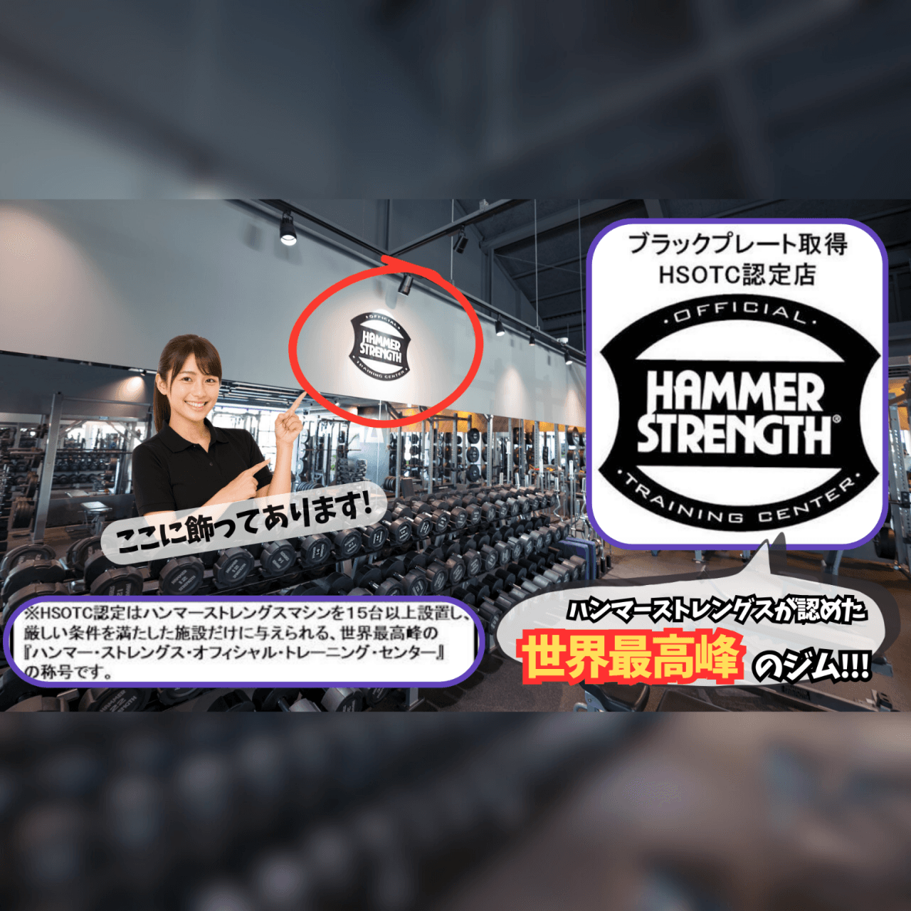 知立店 店舗写真 4