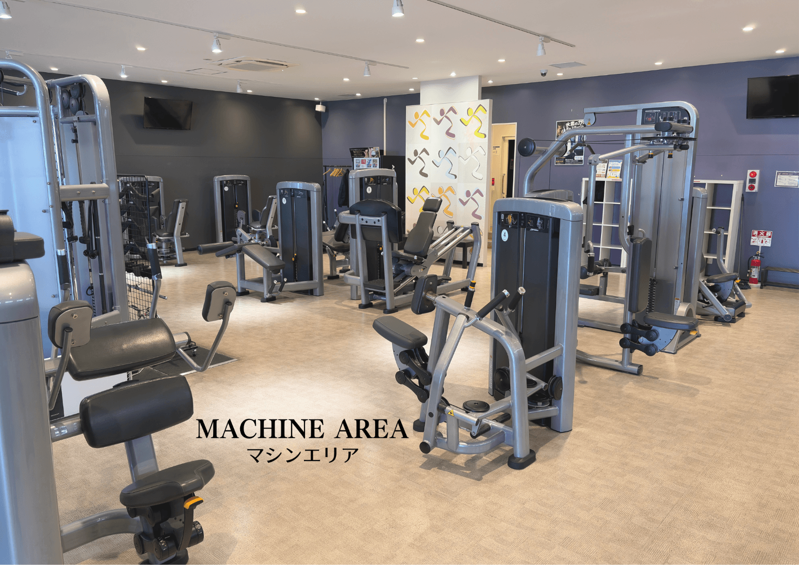 Anytime Fitness 大野田店 facility photo