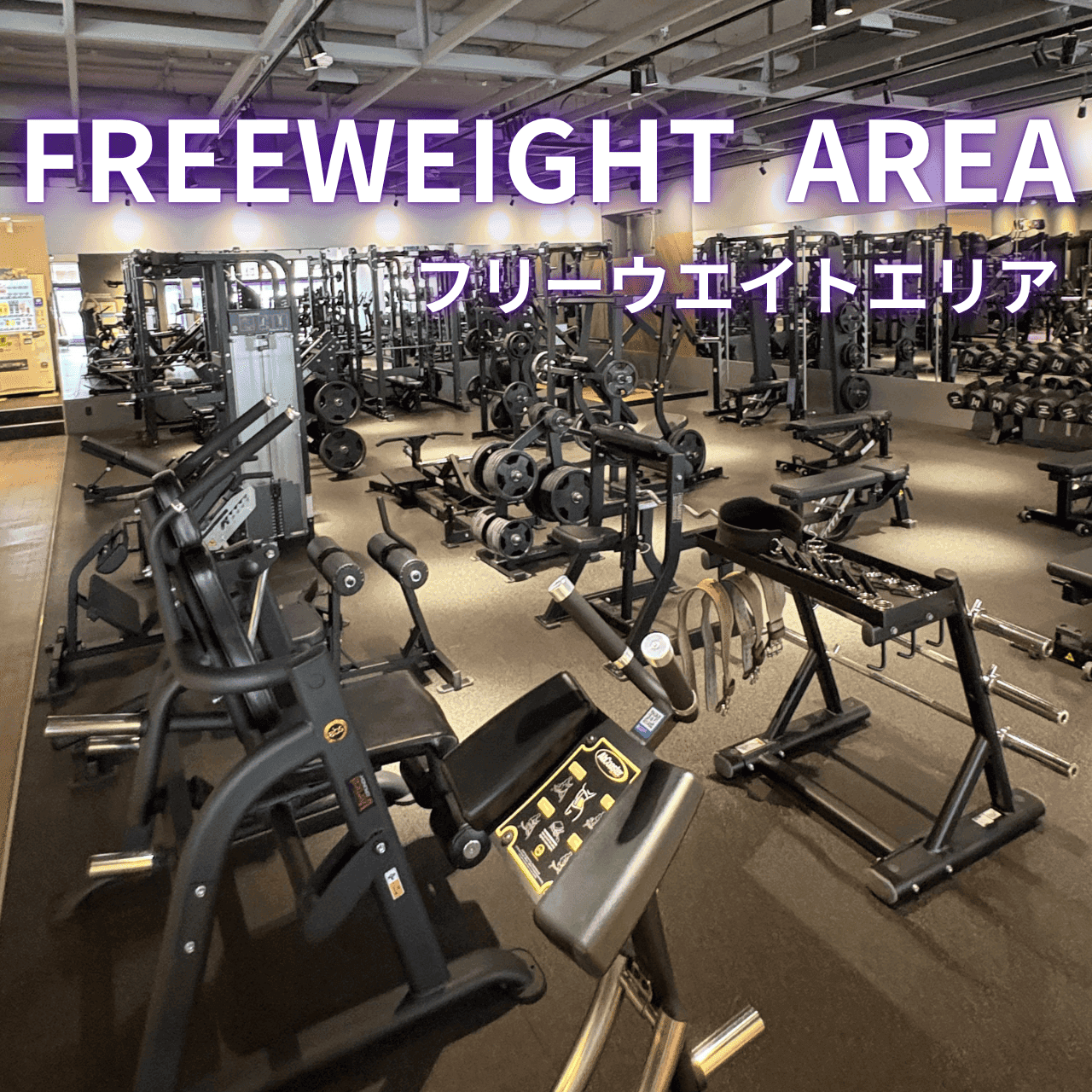屯田店 店舗写真 3