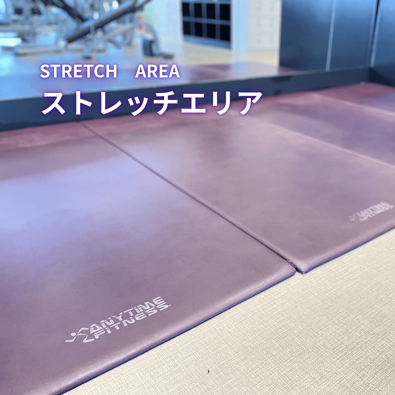 札幌山鼻店 店舗写真 4
