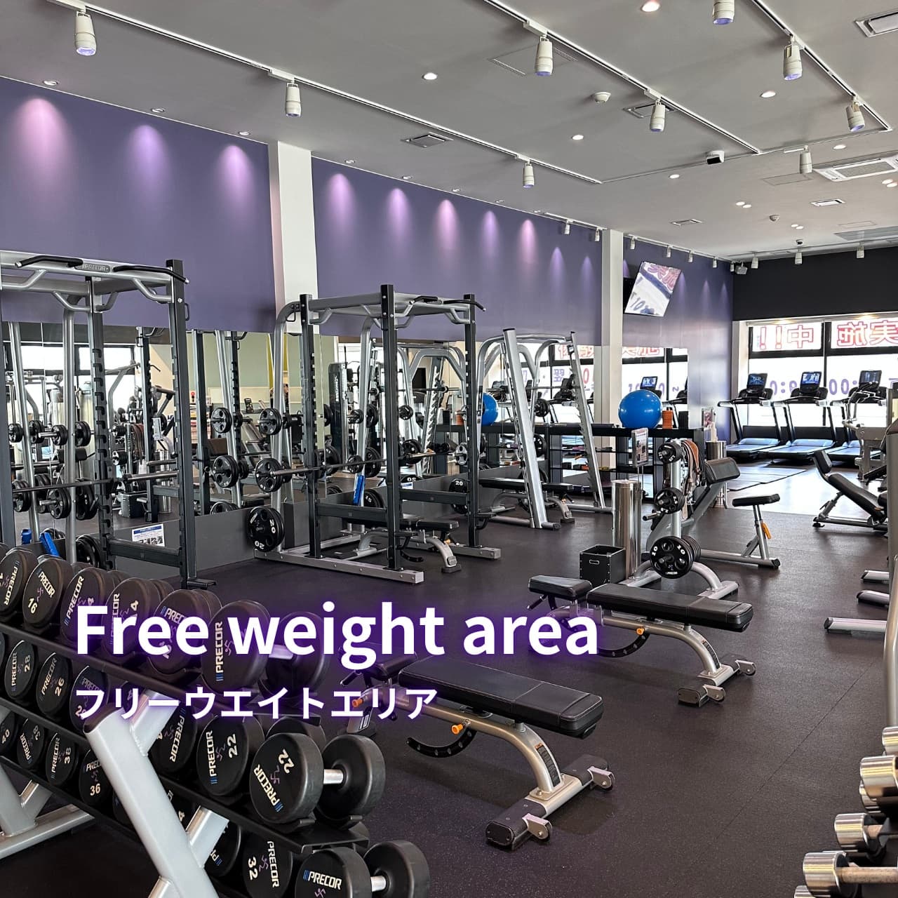 苫小牧西店 店舗写真 3