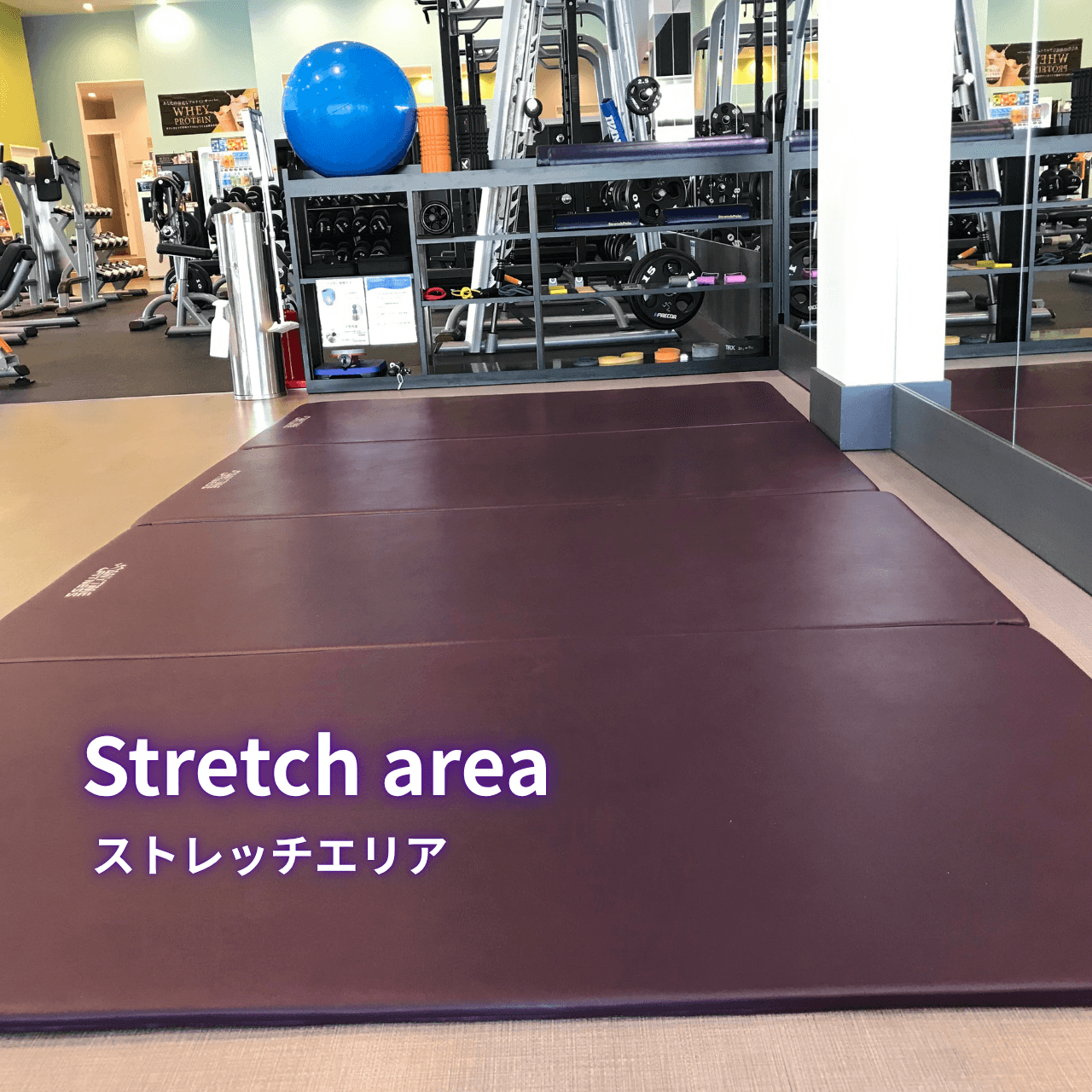 苫小牧西店 店舗写真 4