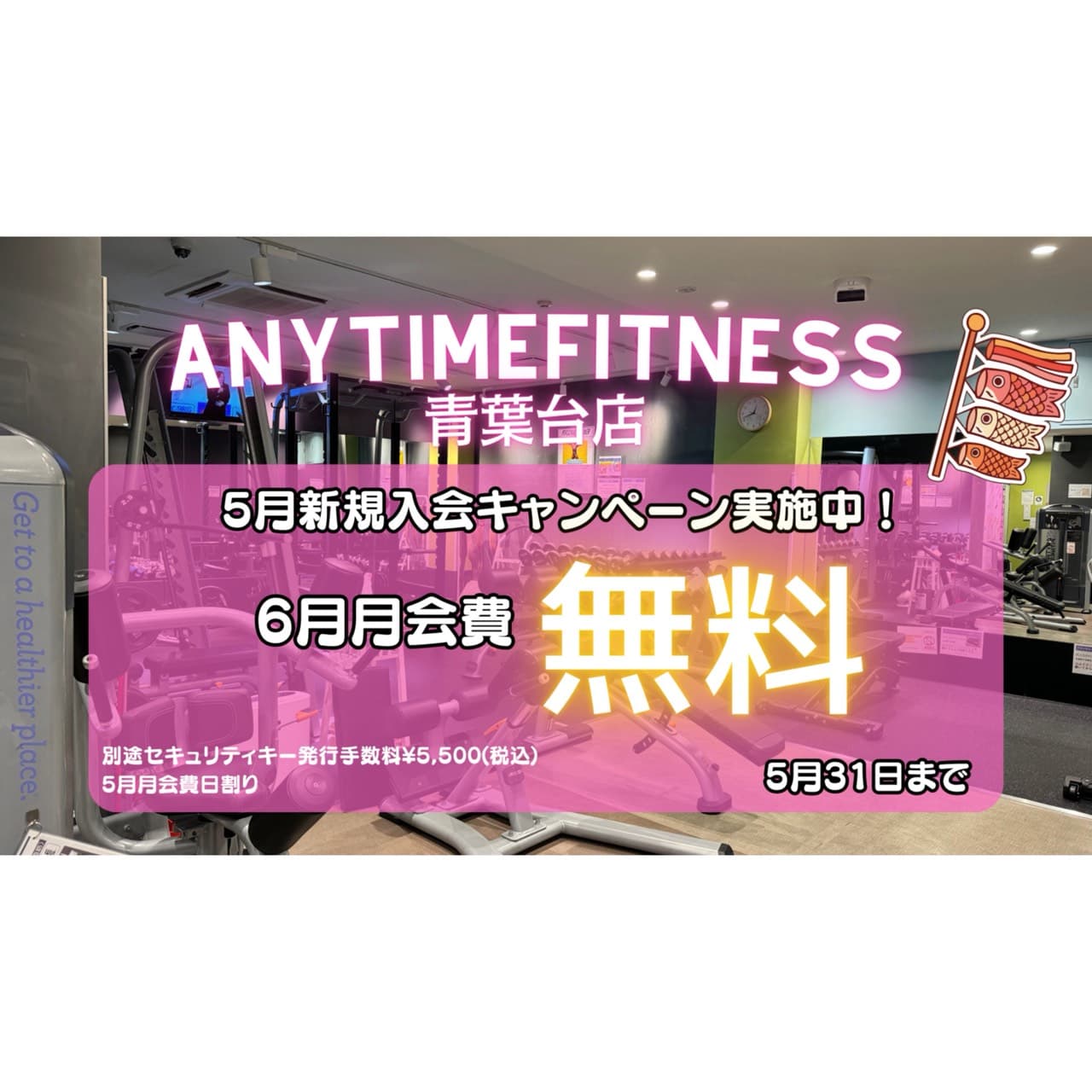 Anytime Fitness 青葉台店
