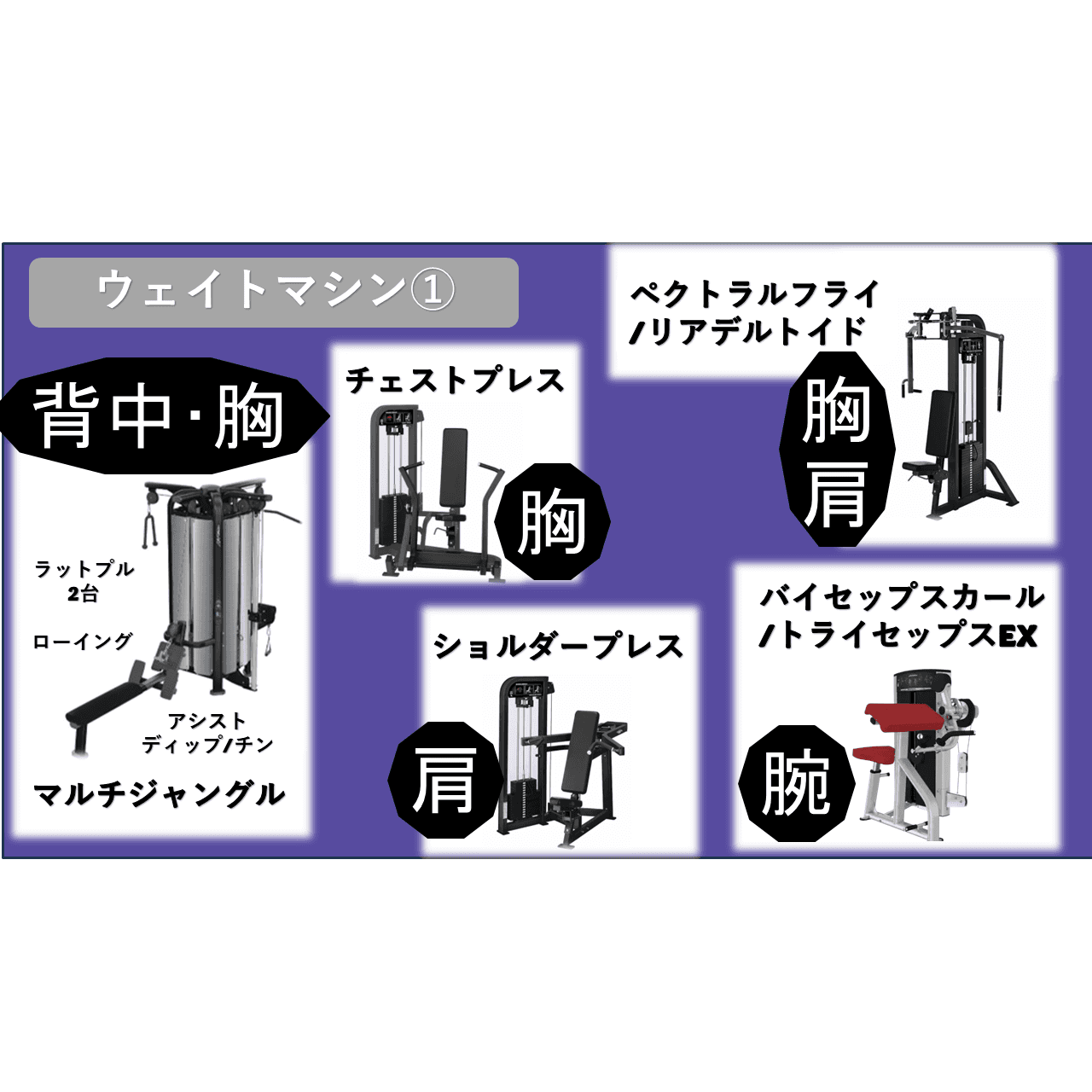 Anytime Fitness 草加店