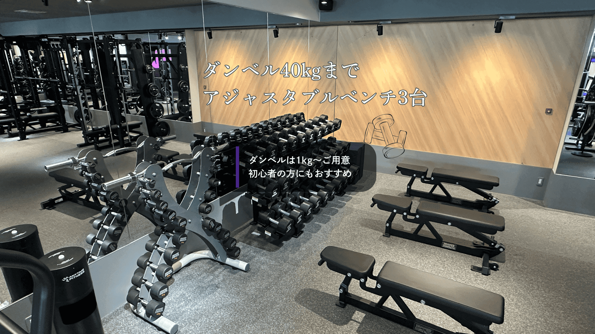 自由が丘店 店舗写真 3