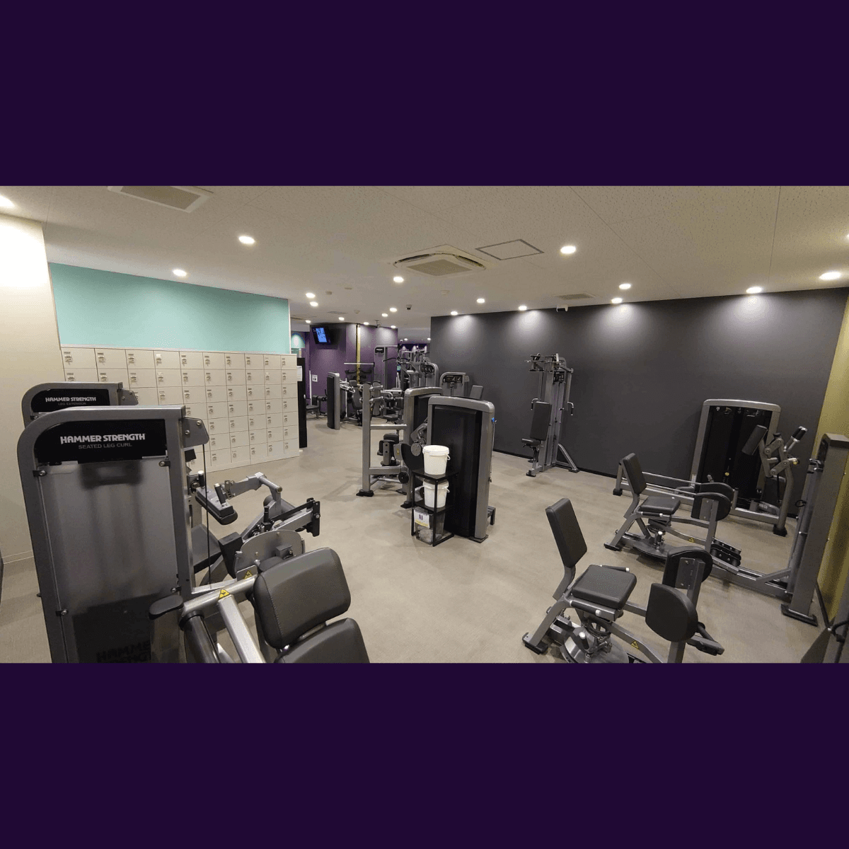 Anytime Fitness 南柏店 gym facility