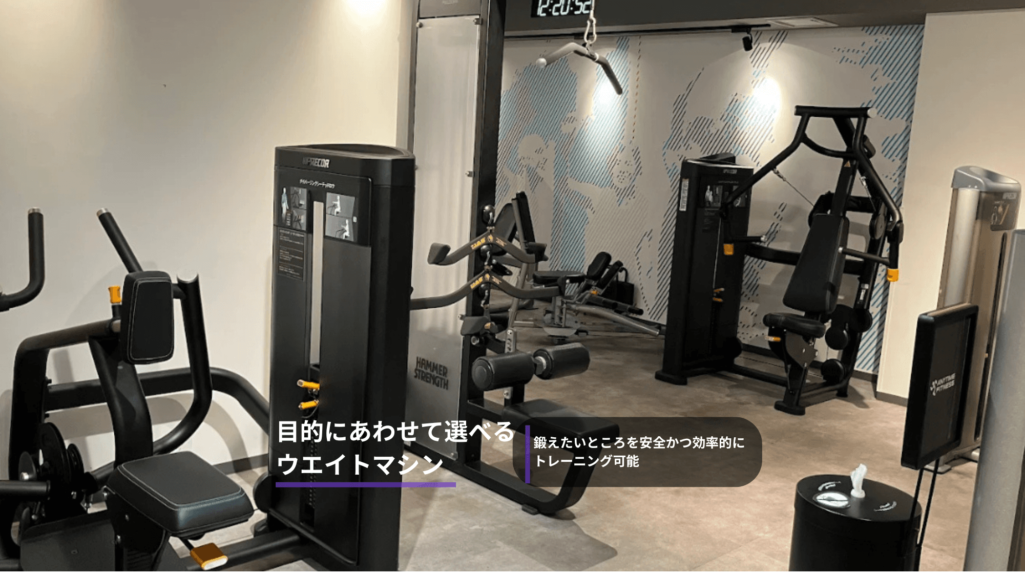 Anytime Fitness 駒沢公園店