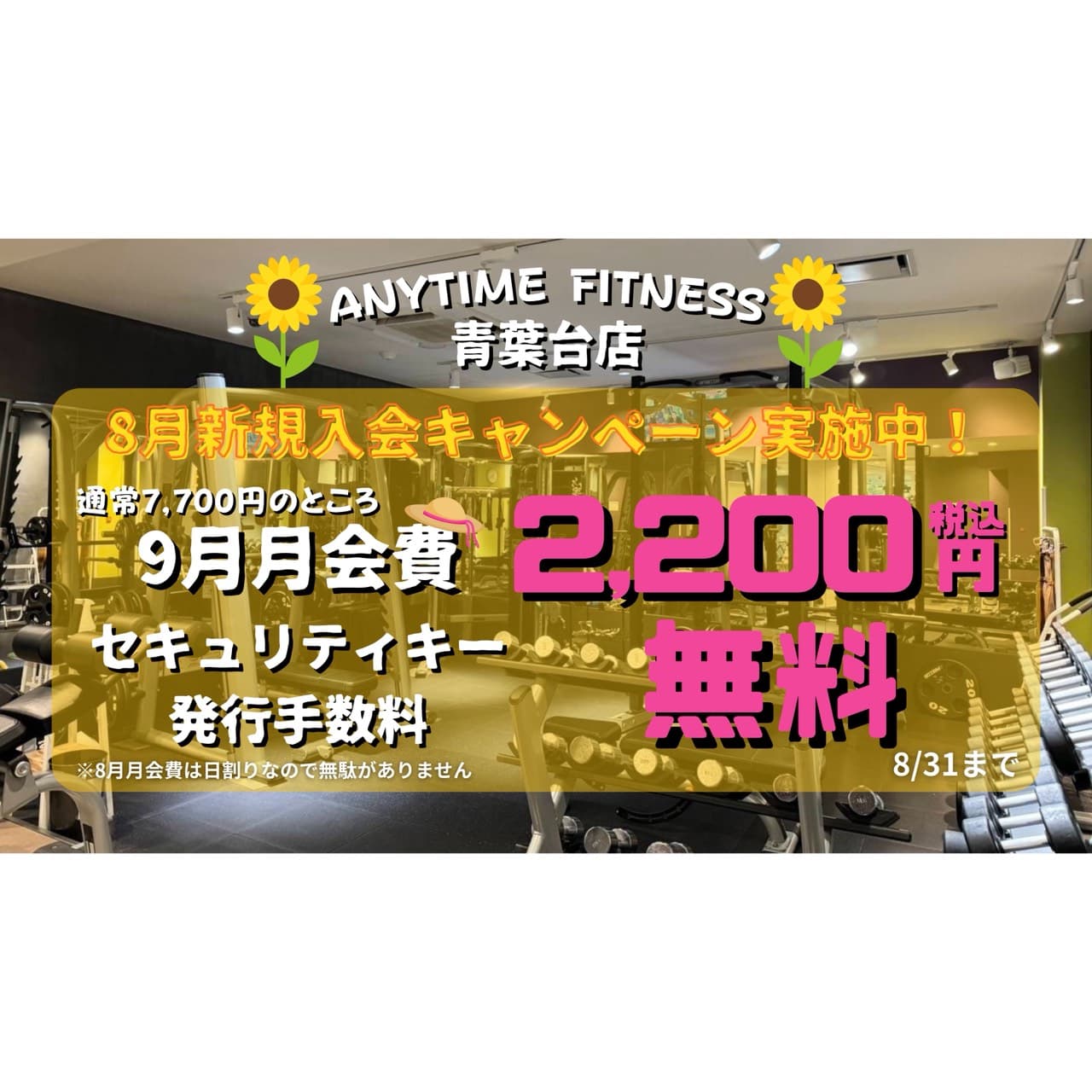 Anytime Fitness 青葉台店