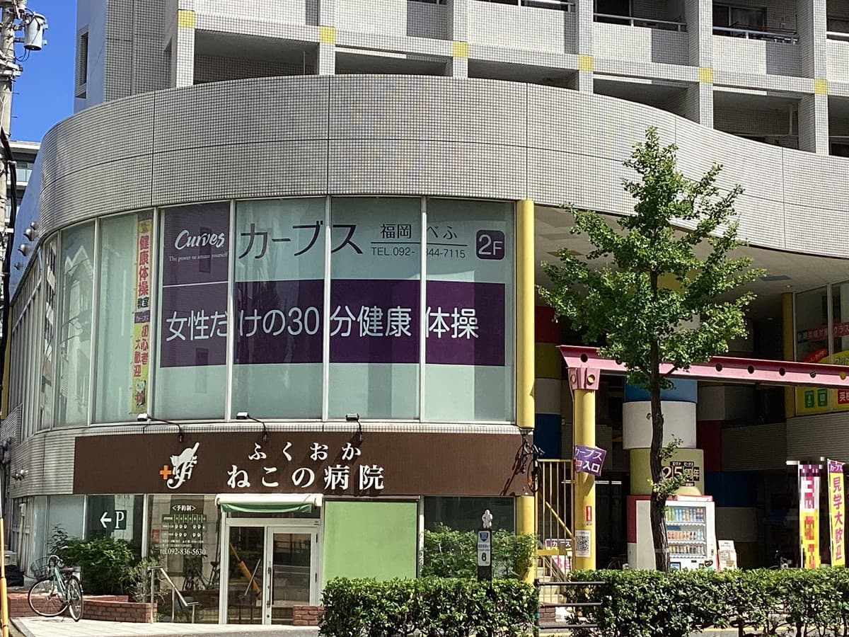 カーブス福岡べふの施設写真
