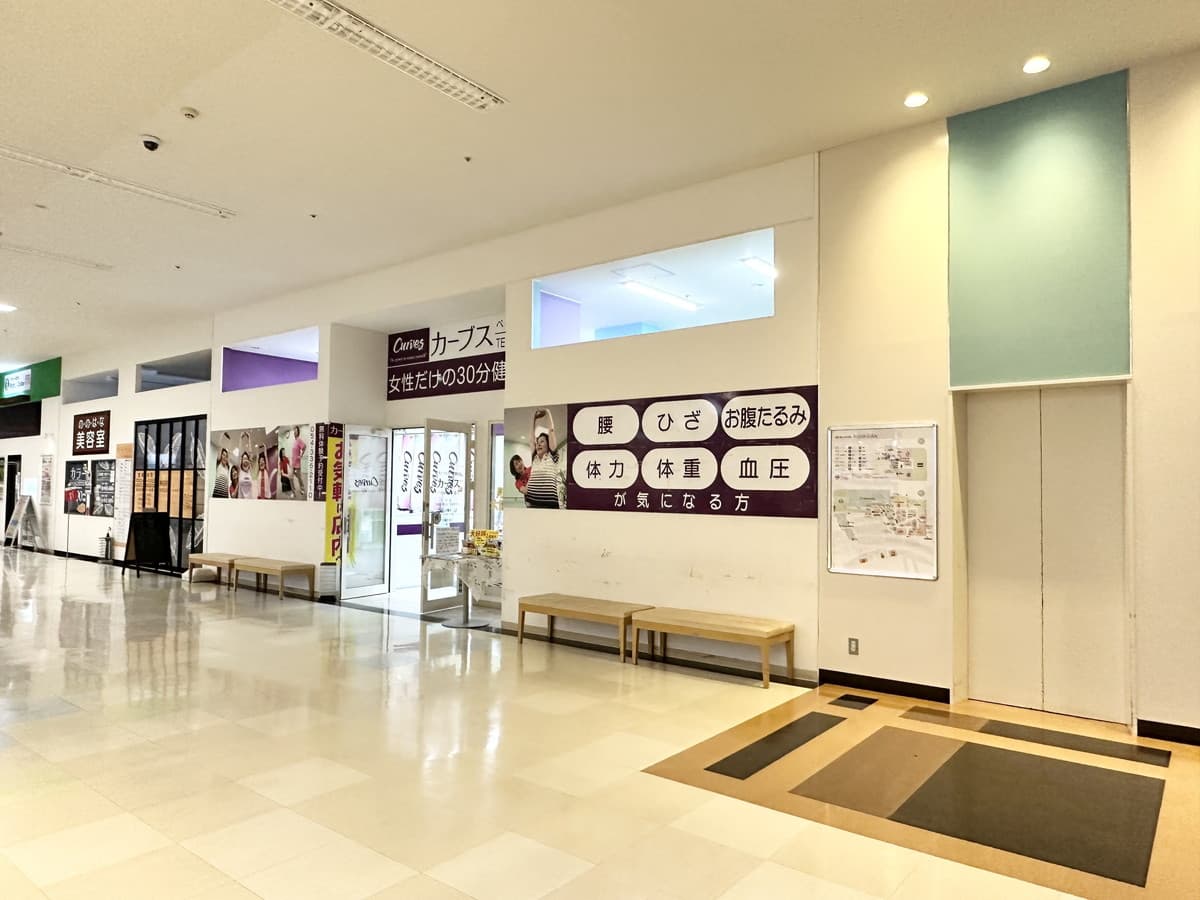 カーブスベイドリーム清水