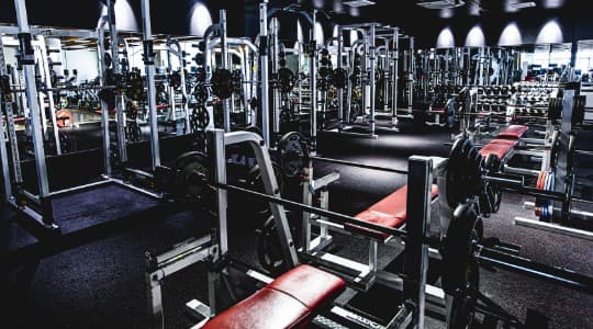 メガロス 綱島の施設写真