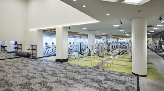 メガロス 大和 facility photo