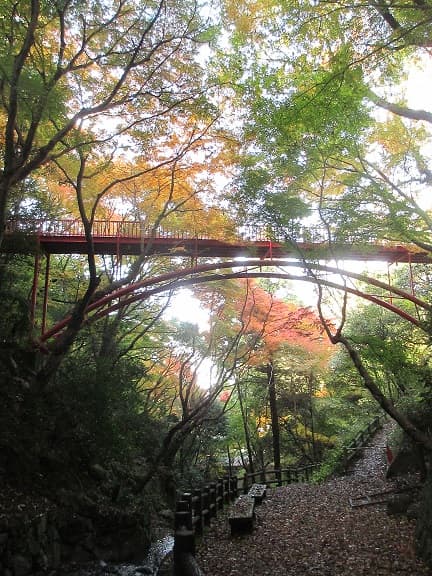 枚岡公園ウォークラリー