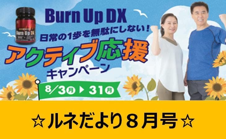 ルネサンス 八日市場 店舗写真 4