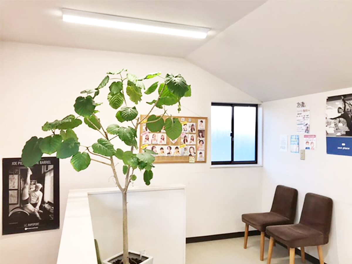 zen place pilates ピラティス 浜田山スタジオ 店舗写真 4