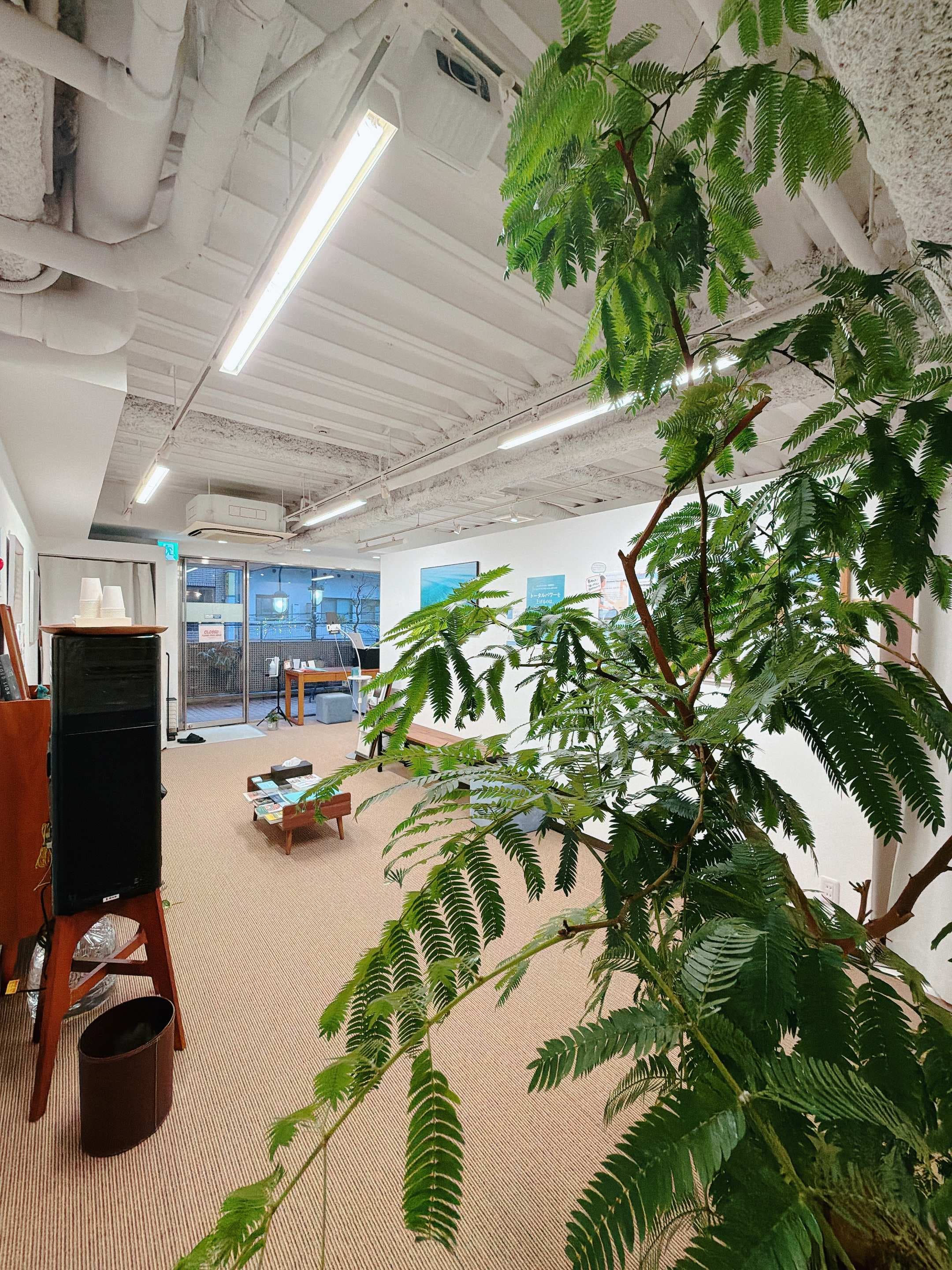 zen place pilates ピラティス 国立スタジオ 店舗写真 4